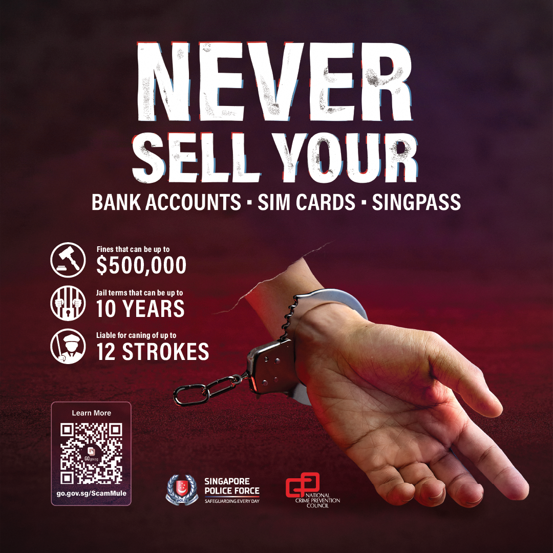 Scam Mules